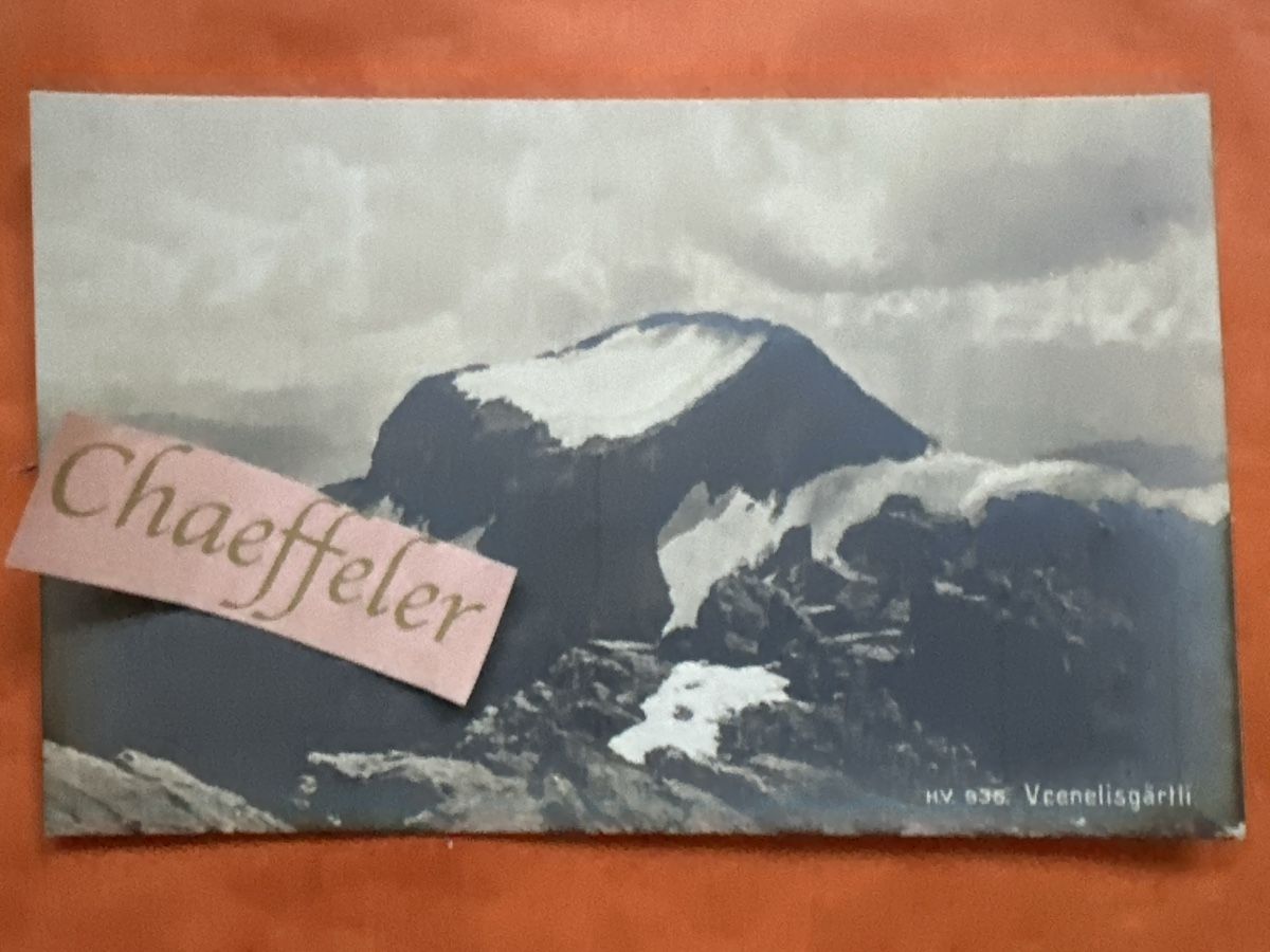 Cartoline postali: H.V. 936. Veneliisgärtli  – Usato da Zürich venduto da Chaeffeler