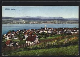 AK Meilen, Teilansicht mit Bergen, 1925