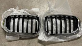 Original BMW Kühlergrill/Nieren X3 F25 (2014 - 2017)