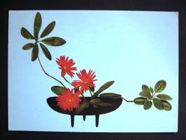 IKEBANA Unendliche Harmonie - Komposition Anneliese Bollrath