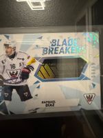 Raphael Diaz Blade Breakers hcfg sportzoo