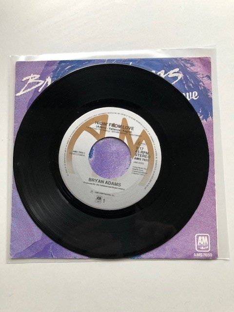 Dischi in vinile: Bryan Adams – Usato da Aarwangen venduto da Jukebox3 2