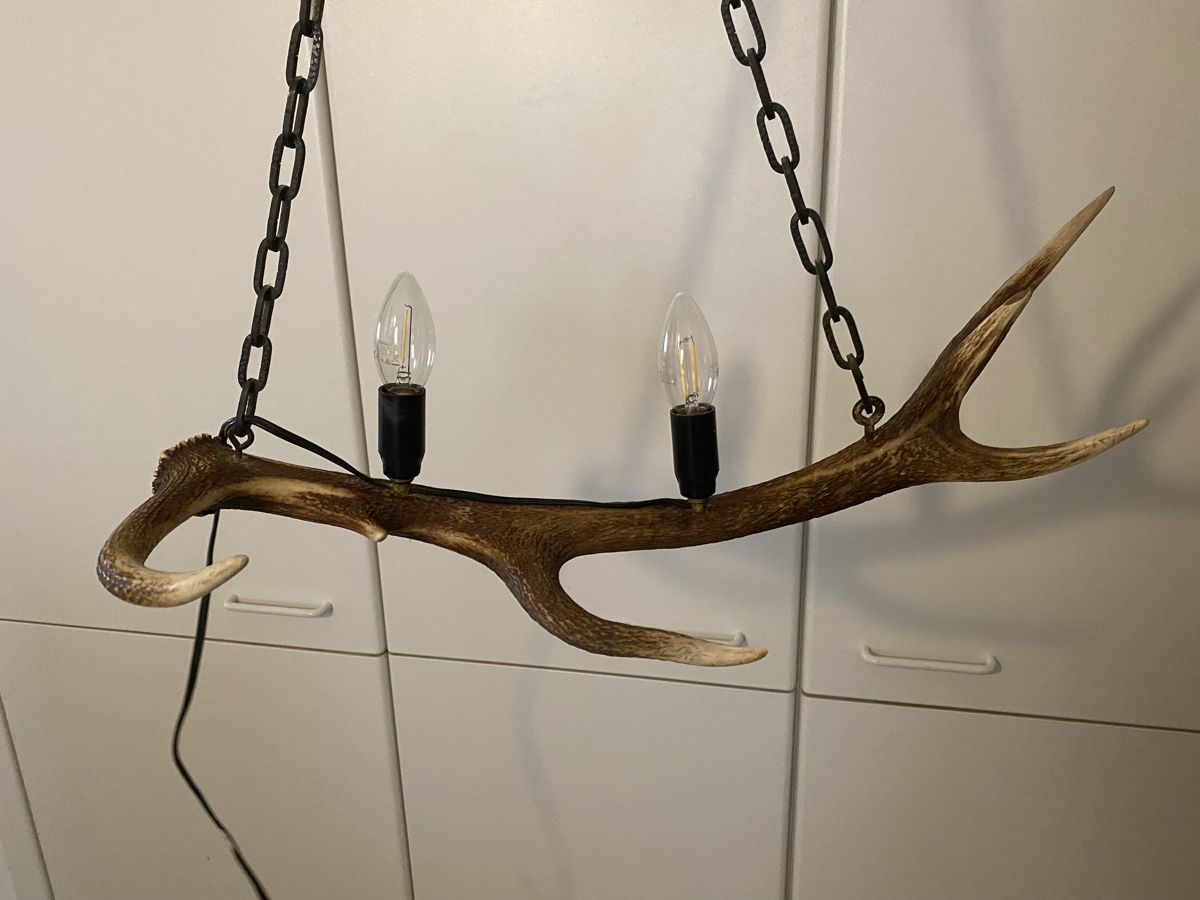 Lustres & lampes de plafonds: Pendelleuchte Geweih – D'occasion à Rheinfelden par Tigerlilli 1