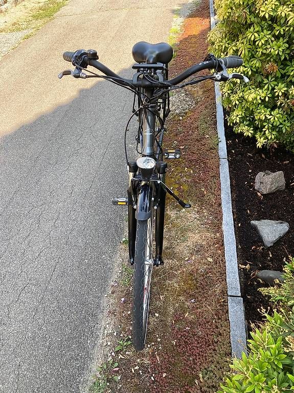 Leopard Biciclette: E - Bike Leopard Elegante 1700 Km – Usato da Full-Reuenthal venduto da Firu 2