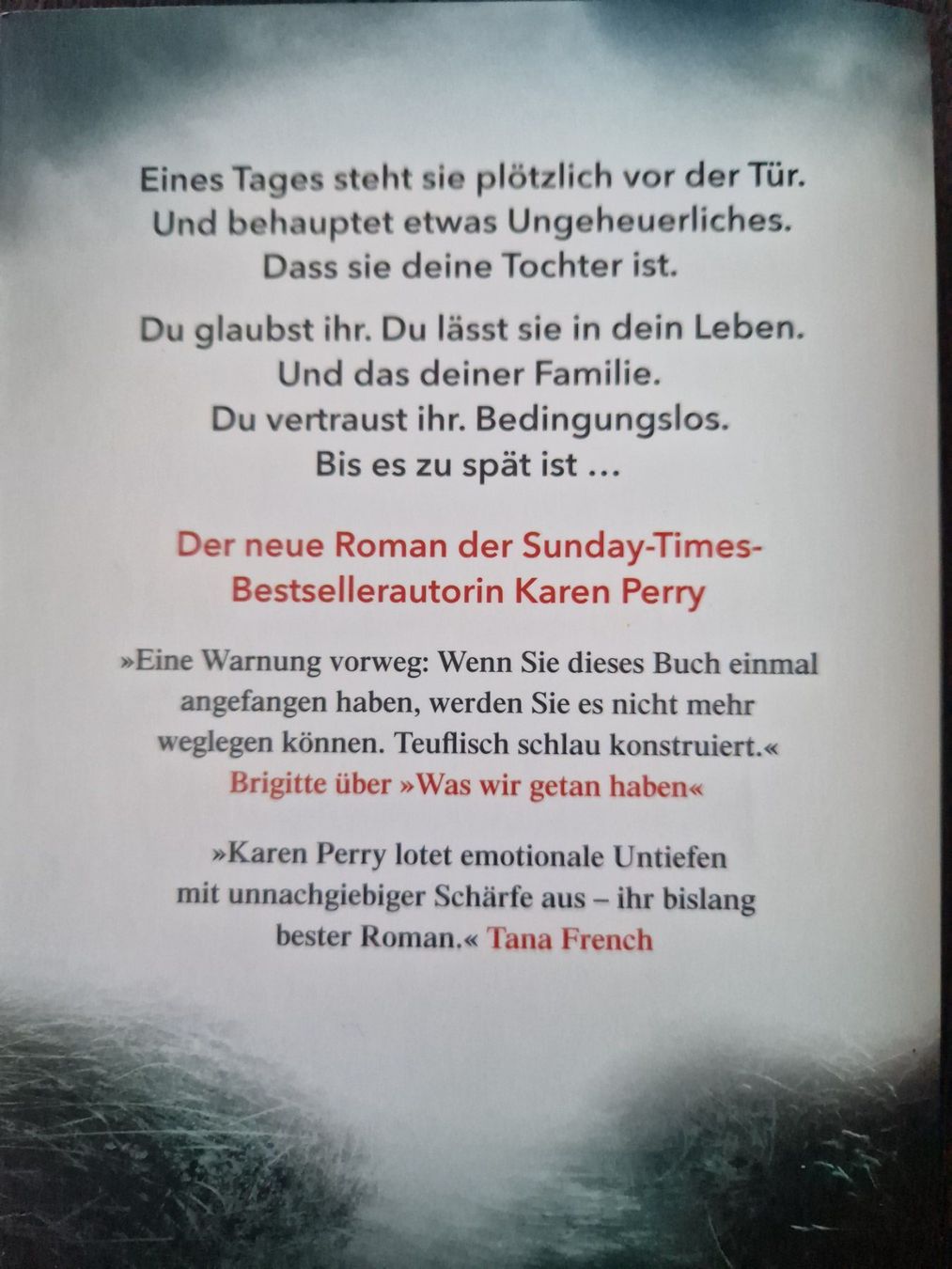 Libri: Karen Perry Girl Unknown – Usato da Neuhausen am Rheinfall venduto da Alchimista 1