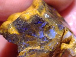 BOULDER ROH OPAL 39.21 Karat Gebot 1.- Blau Grün feuer