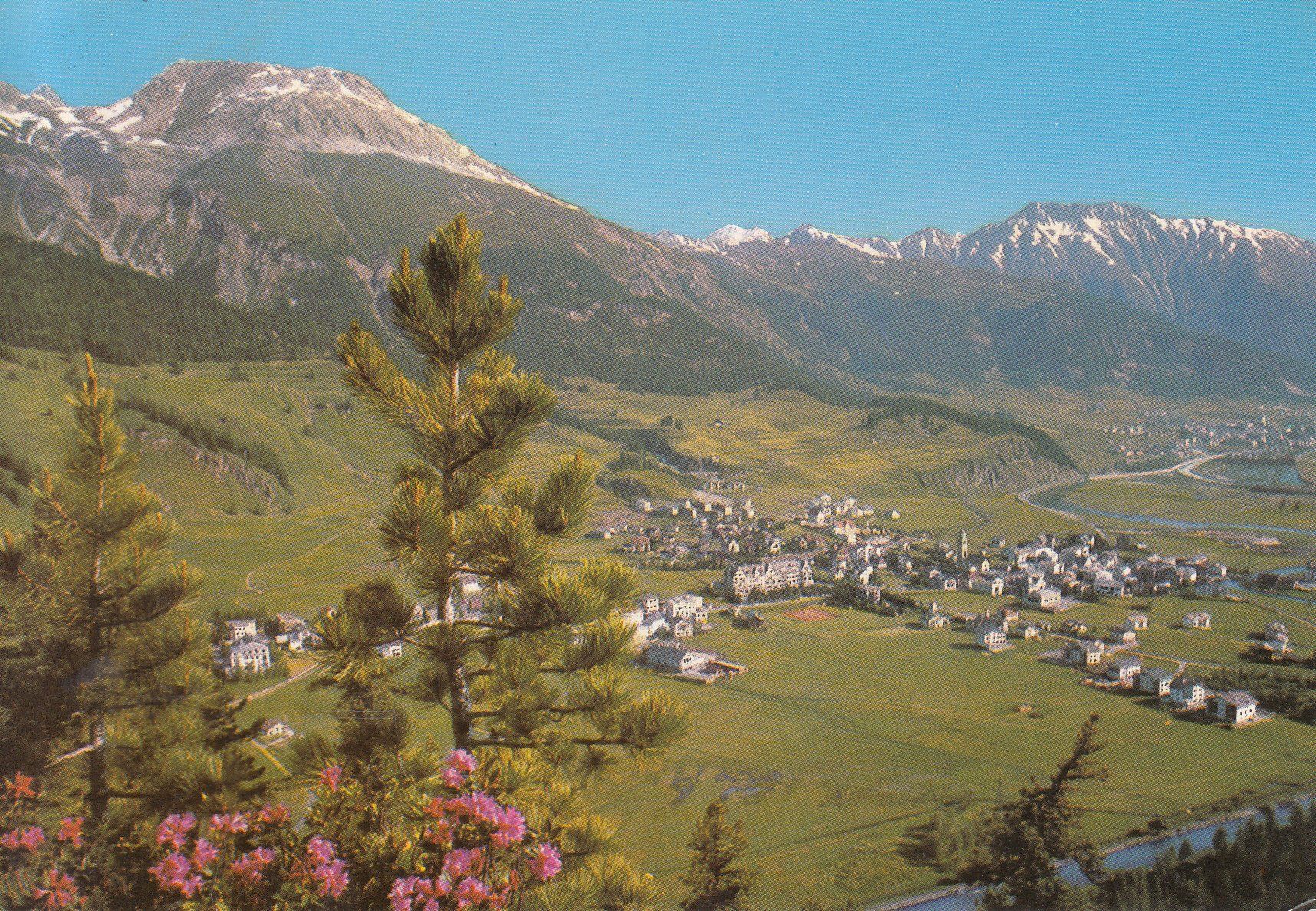 Cartoline postali: Celerina 1980 – Usato da Bürglen TG venduto da StampGraf