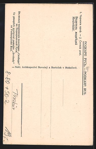 Cartoline postali: Tanzbär mit seinem Besitzer – Usato da Berlin venduto da bartko-reher 1