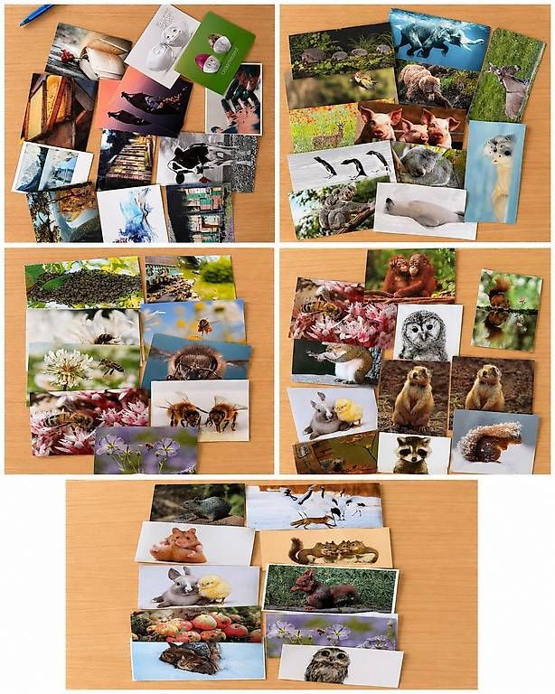 Cartoline postali: Postcrossing Postkarten-Sammlung,viele Motive, – Nuovo e nell'imballaggio originale da Muhen venduto da bebesonne 1