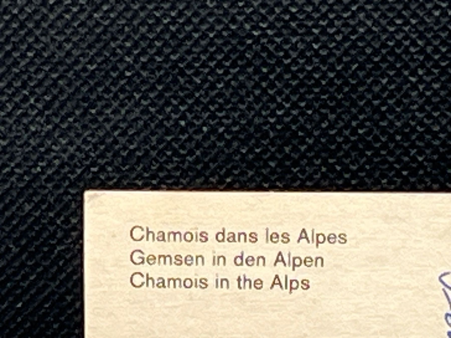Cartes postales: Chamois dans les Alpes – D'occasion à Widnau par Brusi9 2