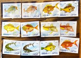 Motive - Fische / Poissons