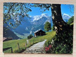 Alte Postkarte:  Braunwald Glarnerland Blick auf Tödi 1967