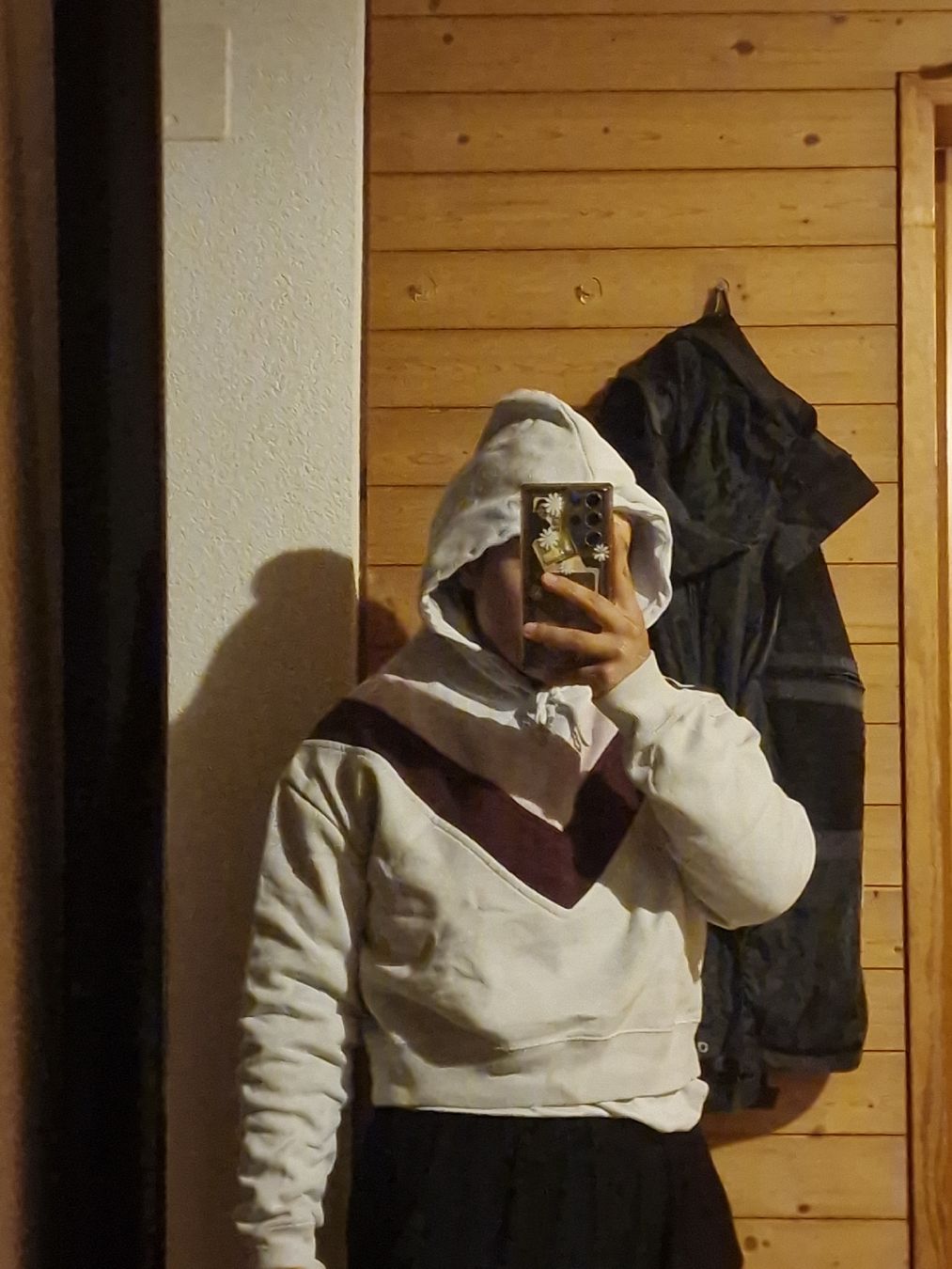 Pulls & Sweat-shirts: Pullover – D'occasion à Wil SG par zeh_pck9