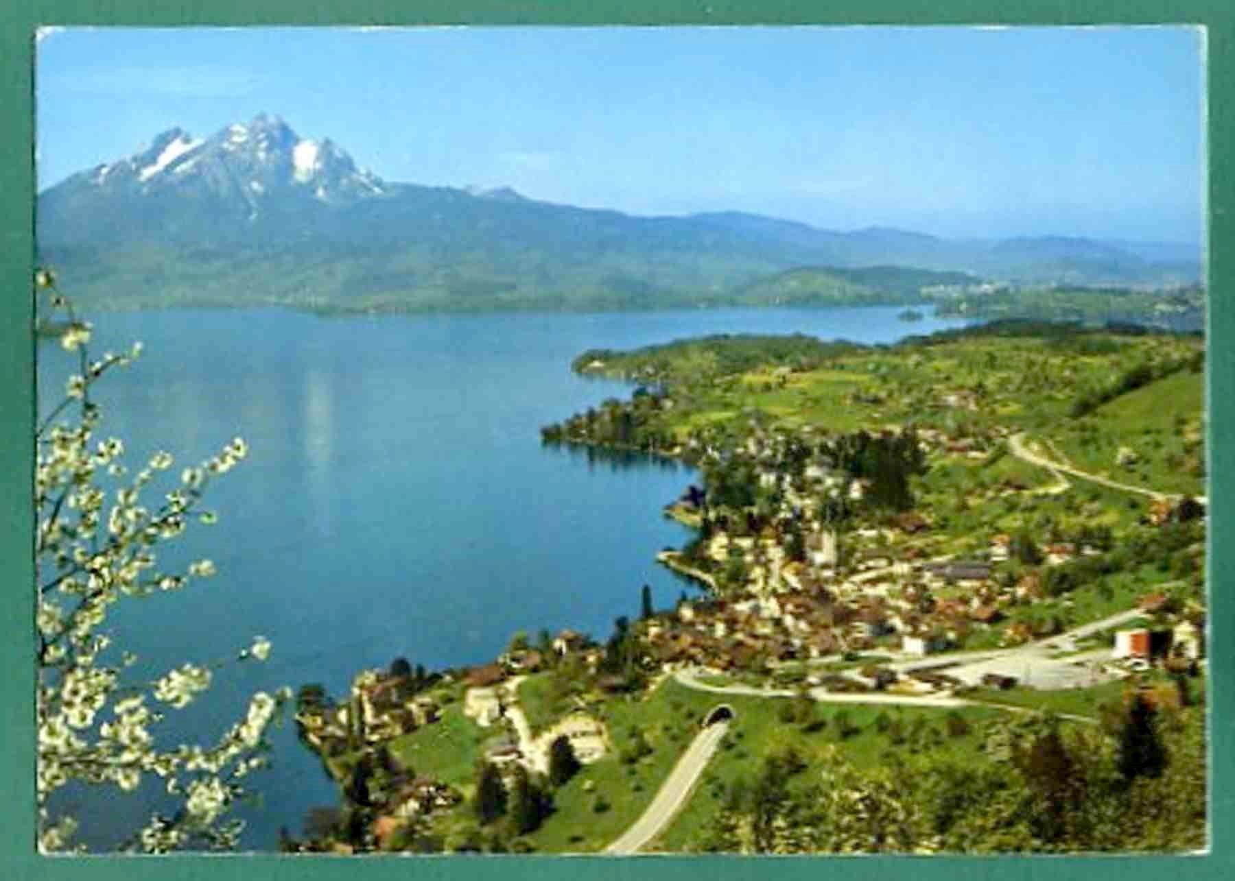 Cartoline postali: Weggis, 1982, gelaufen, Grossformat – Usato da Sargans venduto da Hausi1951