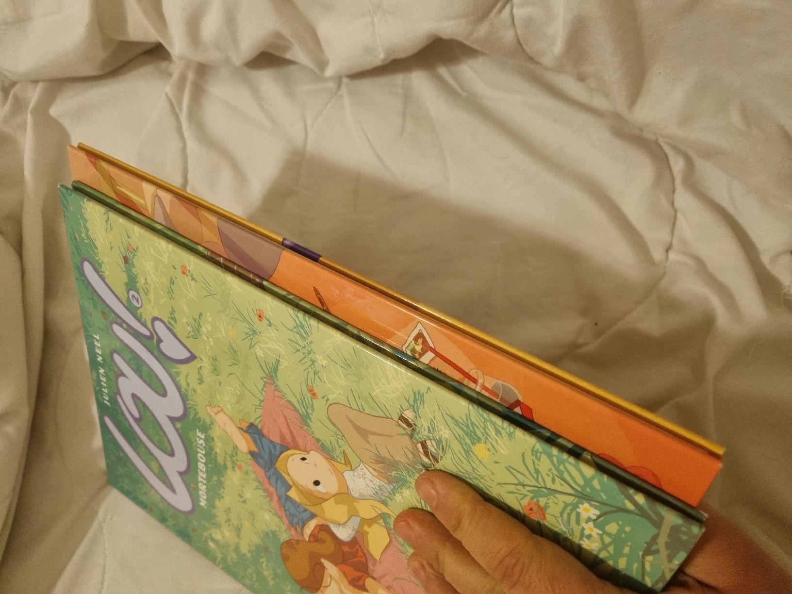 Fumetti: Lou! Journal Intime + Mortebouse, BD Glénat – Usato da Fribourg venduto da sal_5ln6 3