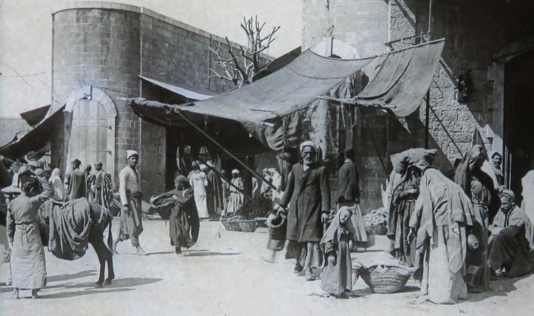Foto & Immagini: Glasdia Israel: Jaffa - Marktleben, um 1915 – Usato da Oberriet SG venduto da ganesh435 1