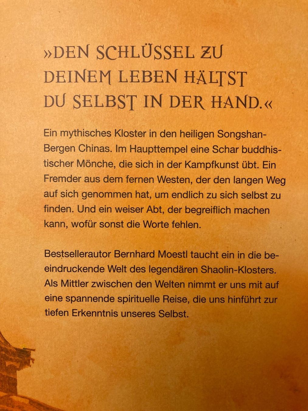 Libri: Bernhard Moestl, Der Drachentempel, Ein Shaolin-Roman – Usato da Baden venduto da Yoyo1 1