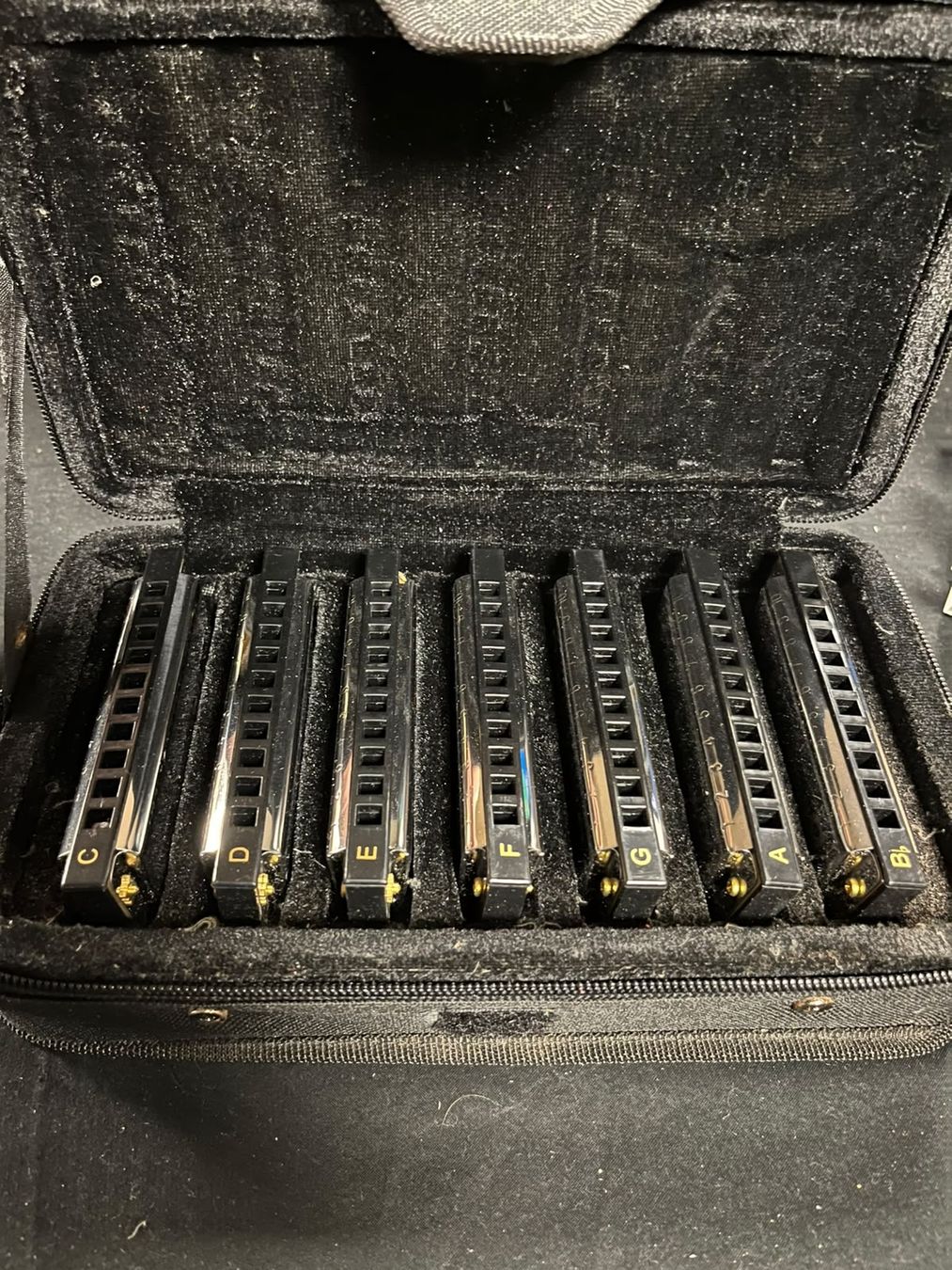 Hohner Strumenti musicali: Hohner Blues Harmonica Set – Nuovo (secondo la descrizione) da Wettingen venduto da Nadja_Cri 1