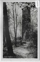 Ruine Goldswil bei Interlaken