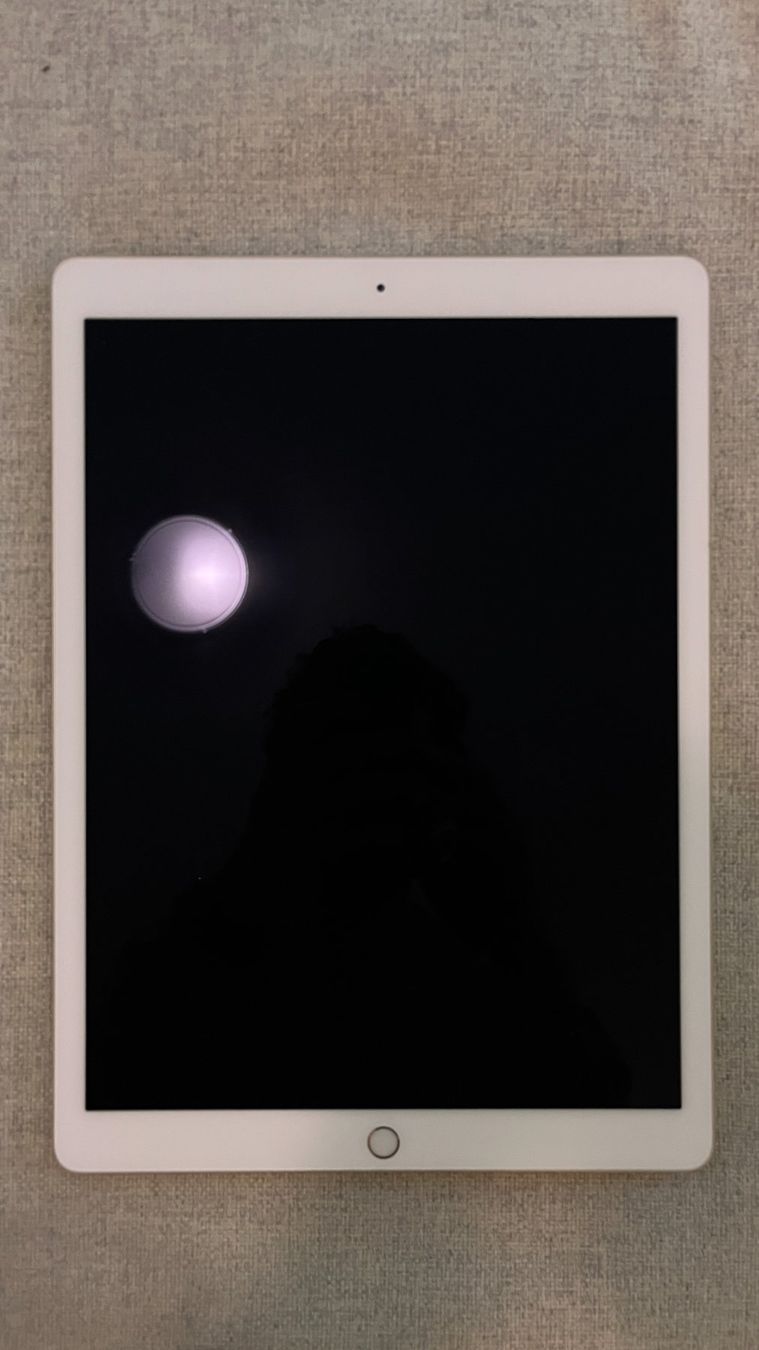 Apple Tablet PC: iPad Pro (12,9 Zoll, 2. Generation) – Usato da Winkel venduto da yamanzh