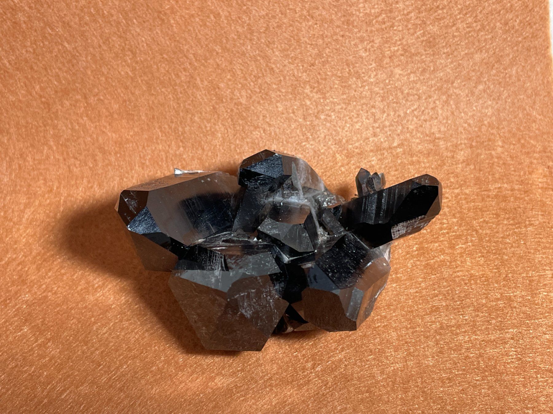 Minerali & Pietre curative: Quartz morion – Nuovo (secondo la descrizione) da Cernier venduto da Tashi_Delek 3