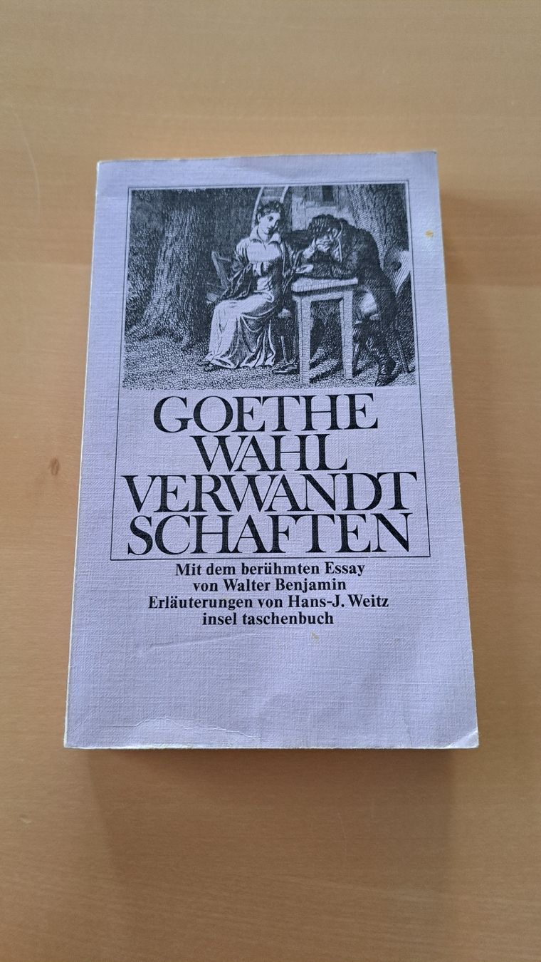 Libri: Wahlverwandtschaften von Goethe – Usato da Niedergampel venduto da Picas2ndHand