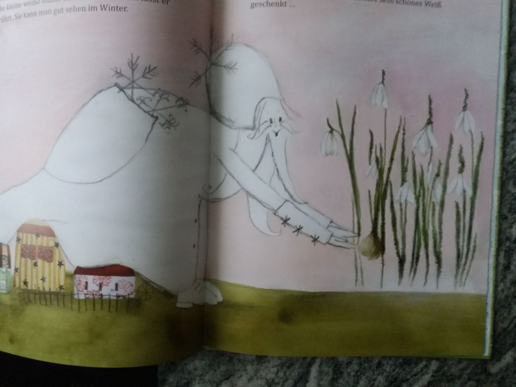 Libri: Warum der Schnee weiss ist – Usato da Chur venduto da Nisami 5