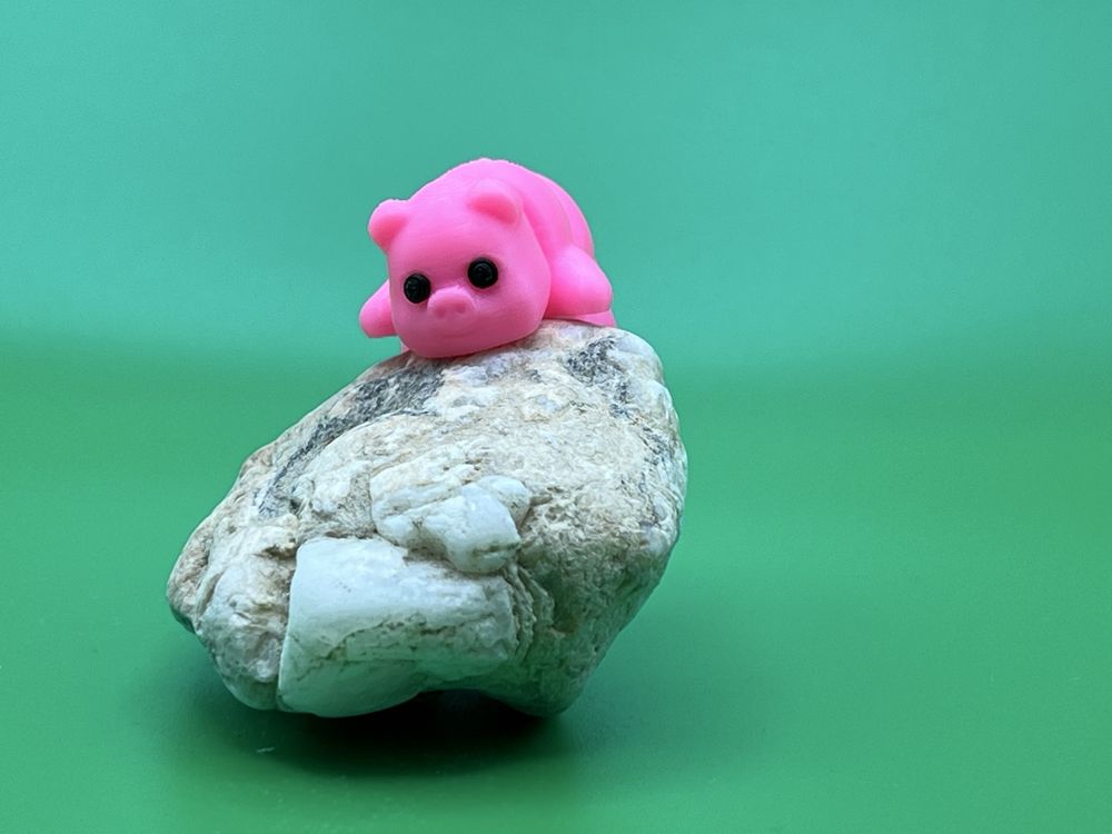 Süsses Schweinchen 3D Druck Minitier (Neu und originalverpackt) in ...