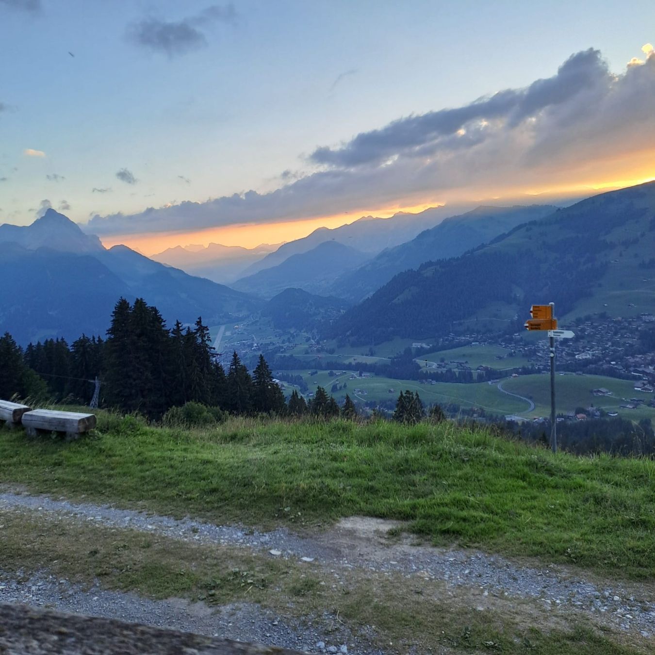 Lebensmittel & Spezialitäten: Alpkäse 2026 – Neu und originalverpackt aus Gstaad von y1t 2