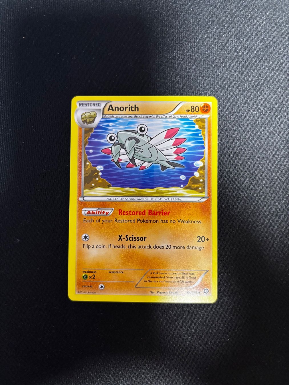 Pokémon Sammelbilder & Trading cards: Pokemon - Anorith - Ab 1 – Gebraucht aus Grosshöchstetten von senseirocs