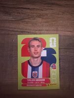 Panini WM 26
