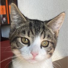 Profile image of Phoebebe