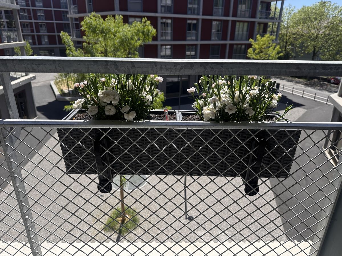 Lechuza Vasi per fiori: Lechuza Balconera Cottage – Nuovo (secondo la descrizione) da Biel/Bienne venduto da Blueflug 8