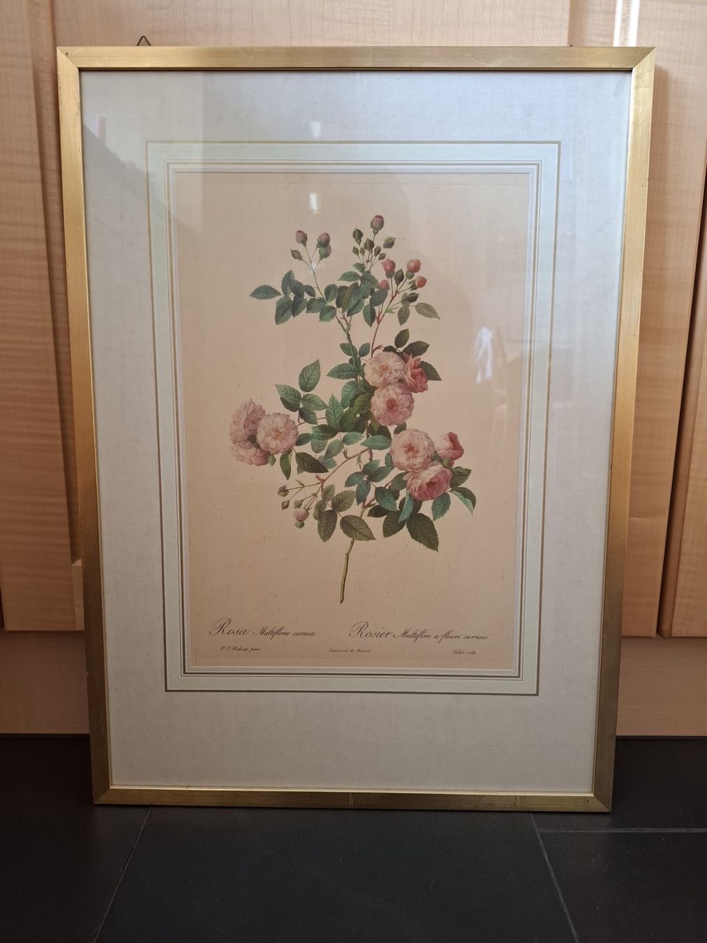 Poster & Bilder: Bild Rose 56x41 cm – Gebraucht aus Ulisbach von IMPREZA87