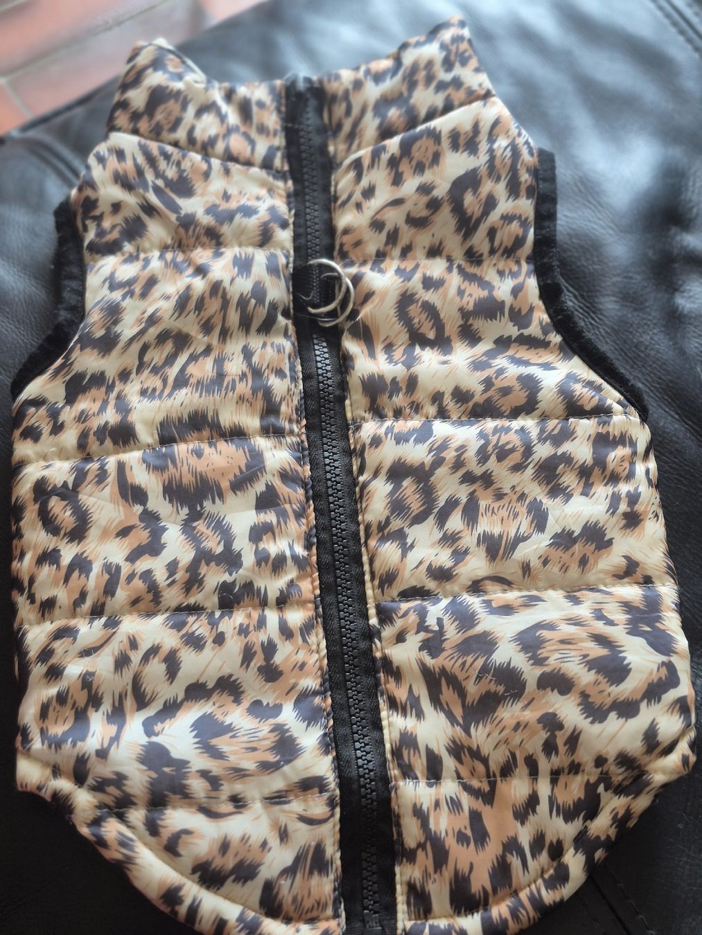 Abbigliamento: Veste pour chien  – Usato da bremblens venduto da kittenob