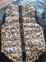 Veste pour chien 