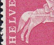 358L Ab. Schwanz teilweise ohne rote Farbe