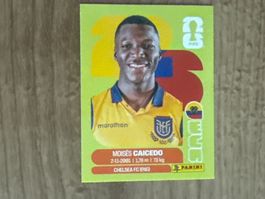Panini FIFA World Cup 2026 Sticker Moises Caicedo ECU 9
