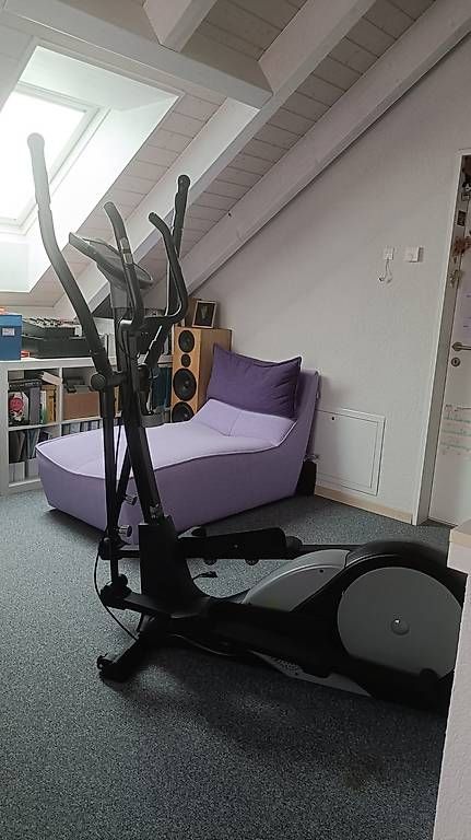 Hometrainer: Crane Crosstrainer fast neu – Usato da Bachs venduto da 1291Schweiz 1