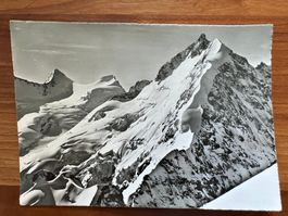 AK   1959 Piz Bernina  spez. Stempel Rest. Alp-Grüm (G2349)