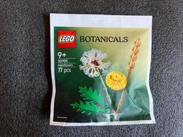 Lego Botanicals 30701 (NEU!!!)