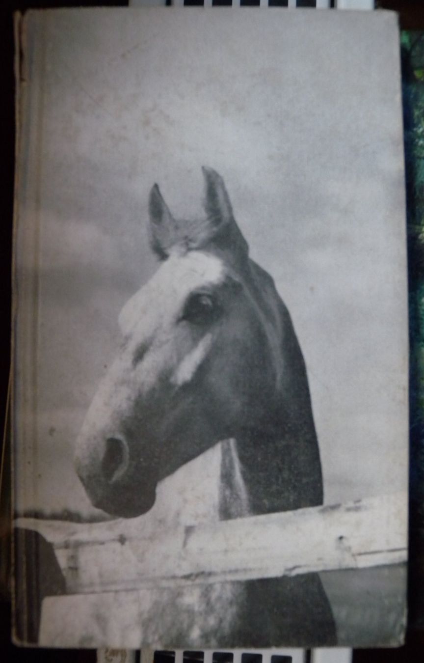 Libri: Kleine Pferdegeschichten – Usato da Hauenstein venduto da davia72