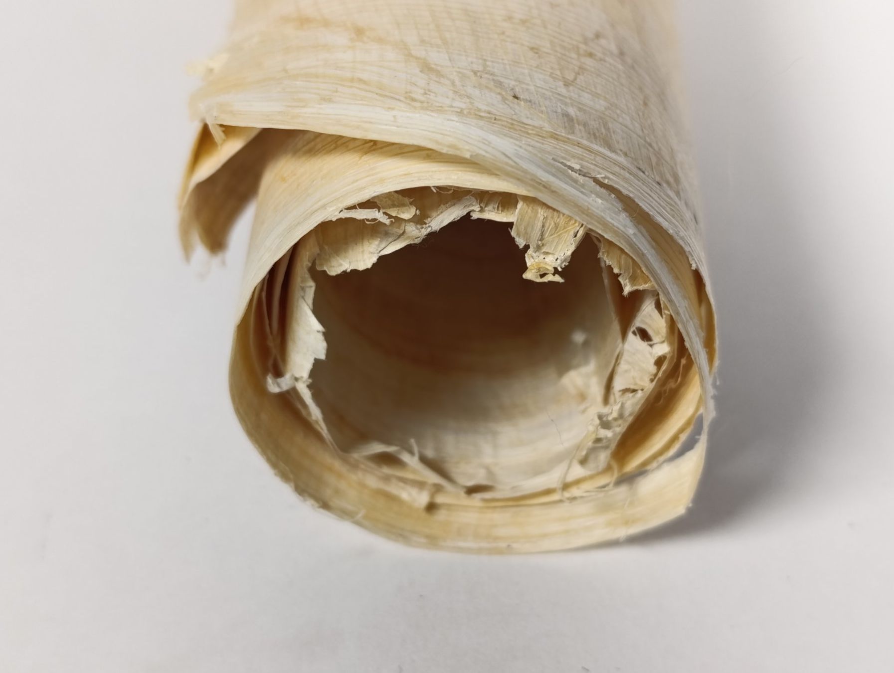Carta: 3 papyrus vierges 42 x 34 cm – Usato da Thielle venduto da Plusvalue_Neuchatel 5
