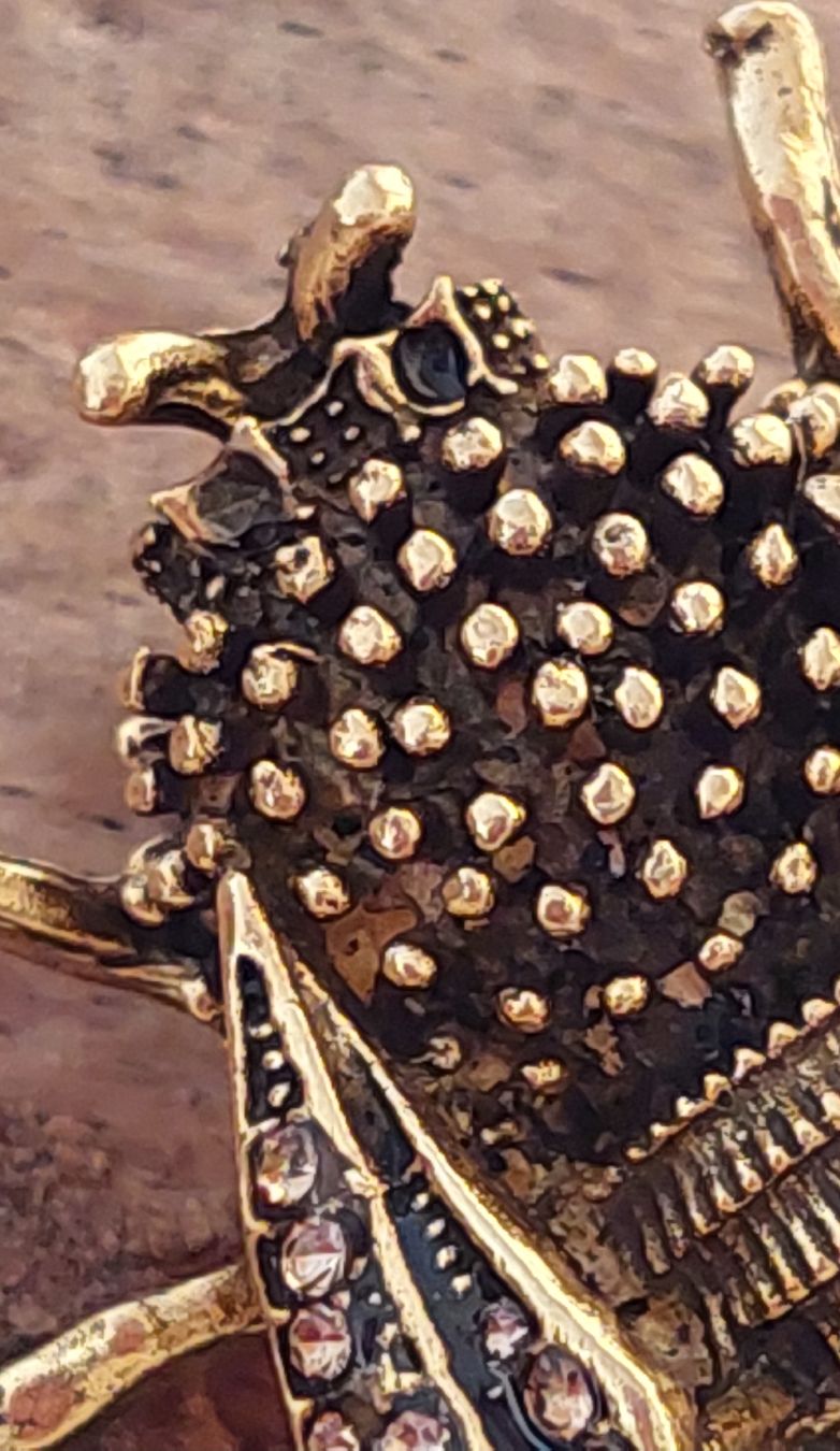 Broschen & Nadeln: Hübsche Brosche Biene / Käfer goldfarben mit Strass – Gebraucht aus Oberwil BL von Hunajakakku 5