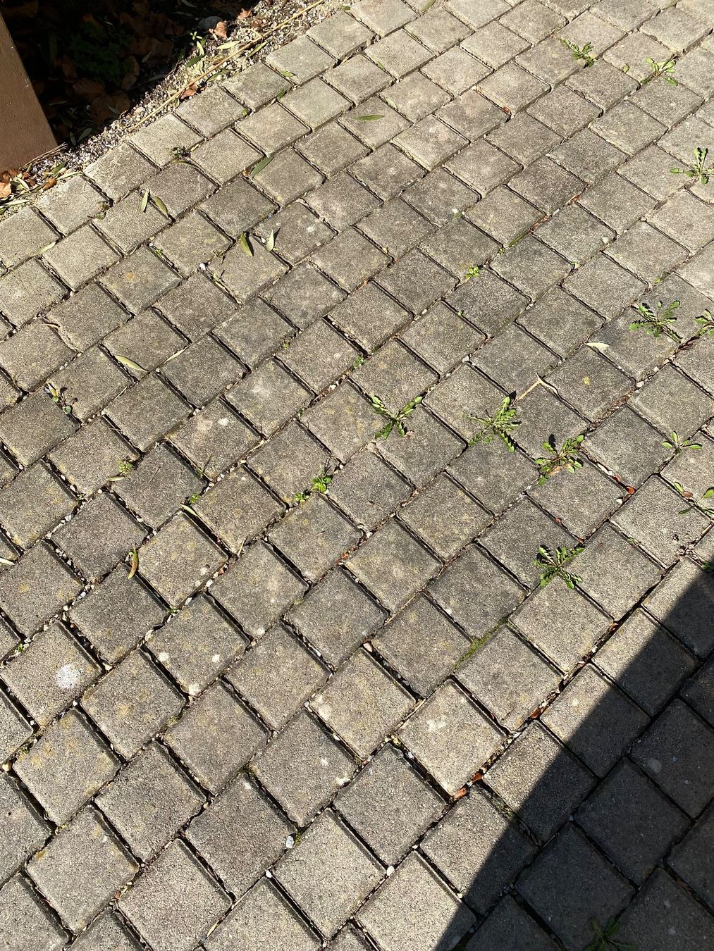 Pietre & tegole: Beton Pflastersteine – Usato da Solothurn venduto da wulli10 5