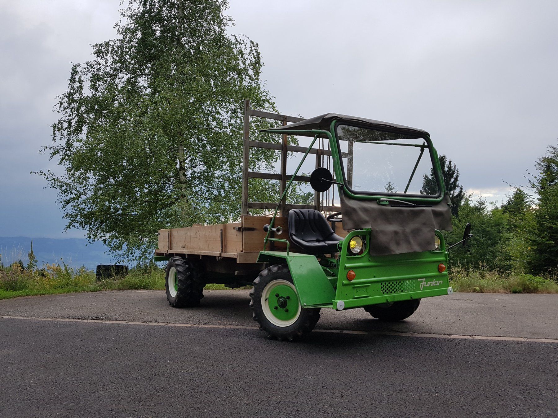 Schilter Trattori: Schilter Junior 1966 – Usato da Steg im Tösstal venduto da LARO14 2