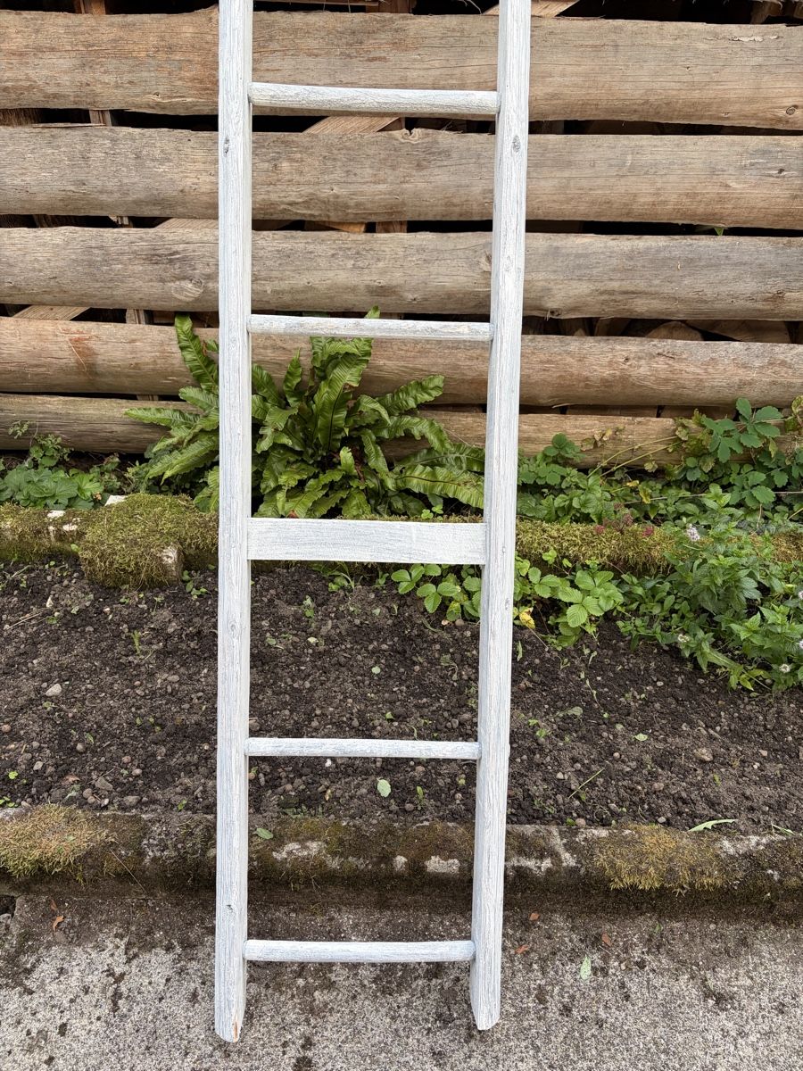 Scale: Holzleiter weiss 2.19m – Usato da Römerswil LU venduto da mr-max11 4