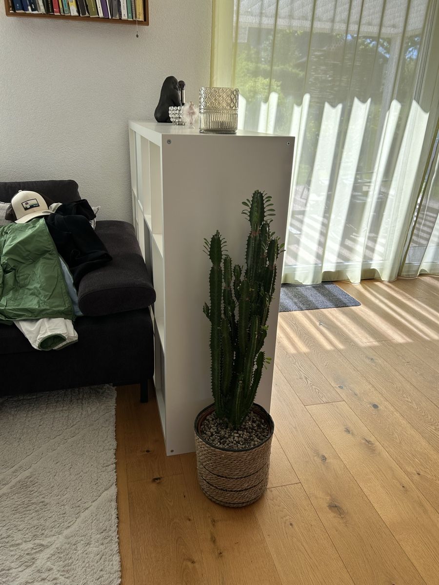 Regale: Weisses Regal, Gestell, Raumteiler – Gebraucht aus Wittenwil von Schampar0 2