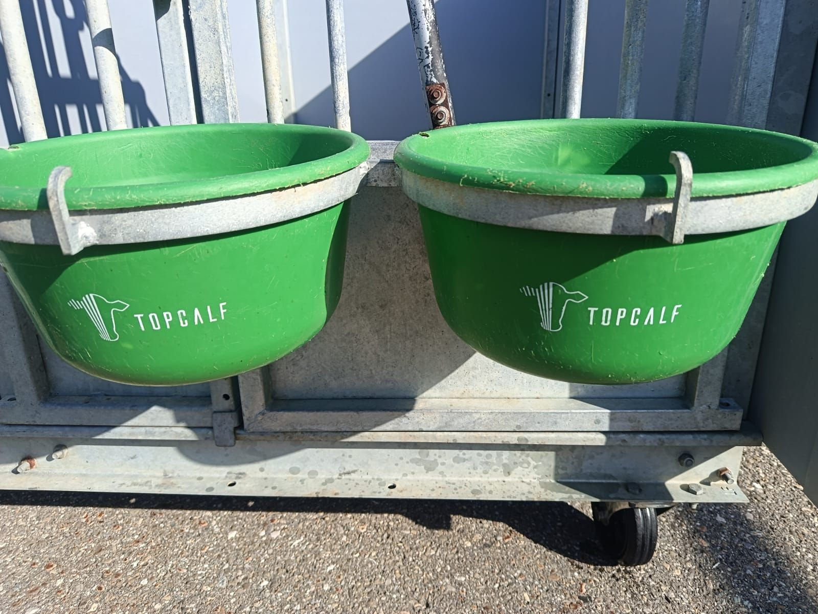 Altre attrezzature per stalle: Topcalf Kälberboxen – Usato da Ebersecken venduto da fis_kz25 7