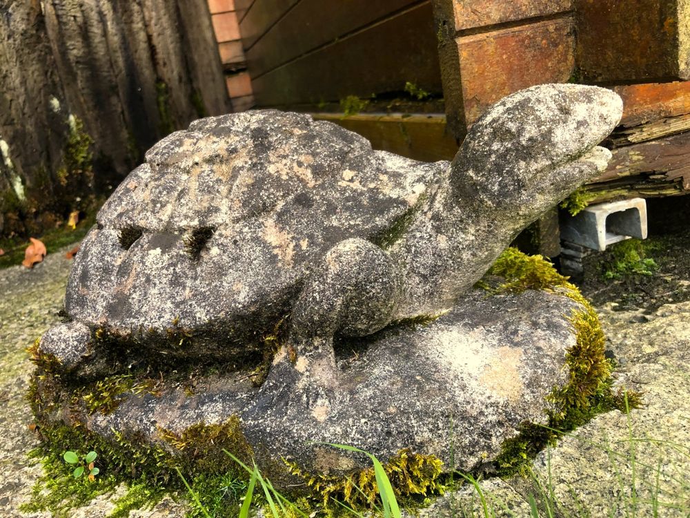 Alte SteinSchildkröte Wasserspeier für Garten / Teich Kaufen auf